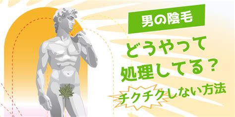 陰毛 男性|男性アンダーヘア（チン毛）の処理・調節方法とおす。